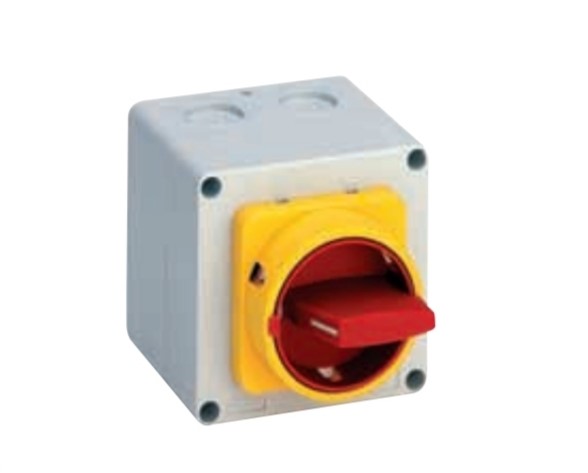 Saelzer M220-61191-117M4 Enclosed Switches